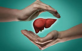 10 loại thực phẩm tốt cho gan, hỗ trợ phục hồi