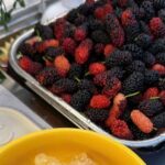 Cách ngâm dâu tằm tại nhà: Nhanh gọn, thơm ngon và không bị nổi váng