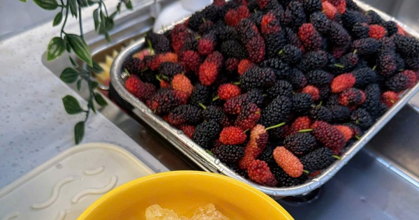 Cách ngâm dâu tằm tại nhà: Nhanh gọn, thơm ngon và không bị nổi váng