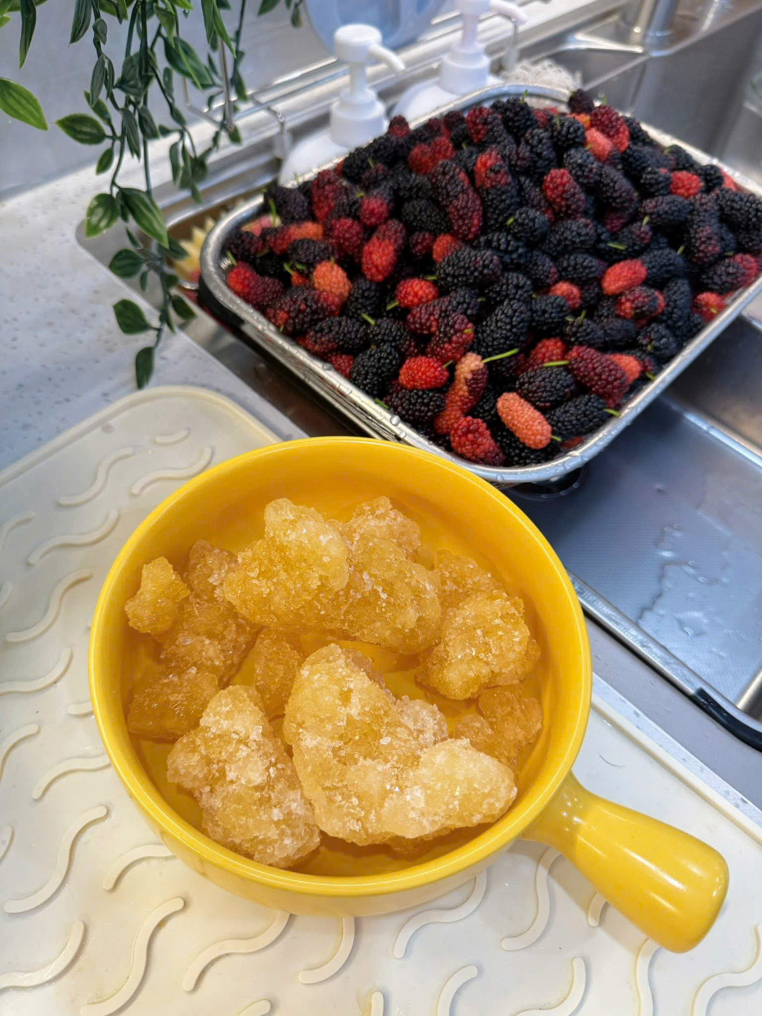 Cách ngâm dâu tằm tại nhà: Nhanh gọn, thơm ngon và không bị nổi váng- Ảnh 1.