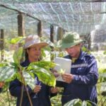 Định hình con đường dược liệu Việt: Tư duy chiến lược của Anh hùng Lao động Thái Hương