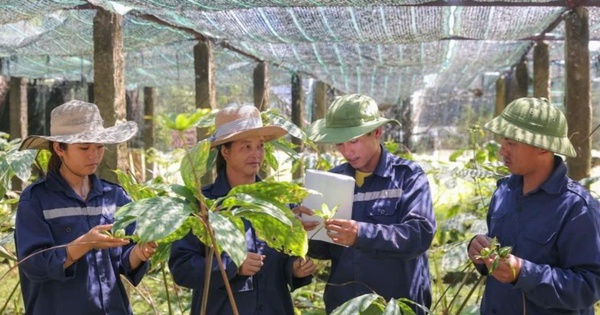 Định hình con đường dược liệu Việt: Tư duy chiến lược của Anh hùng Lao động Thái Hương