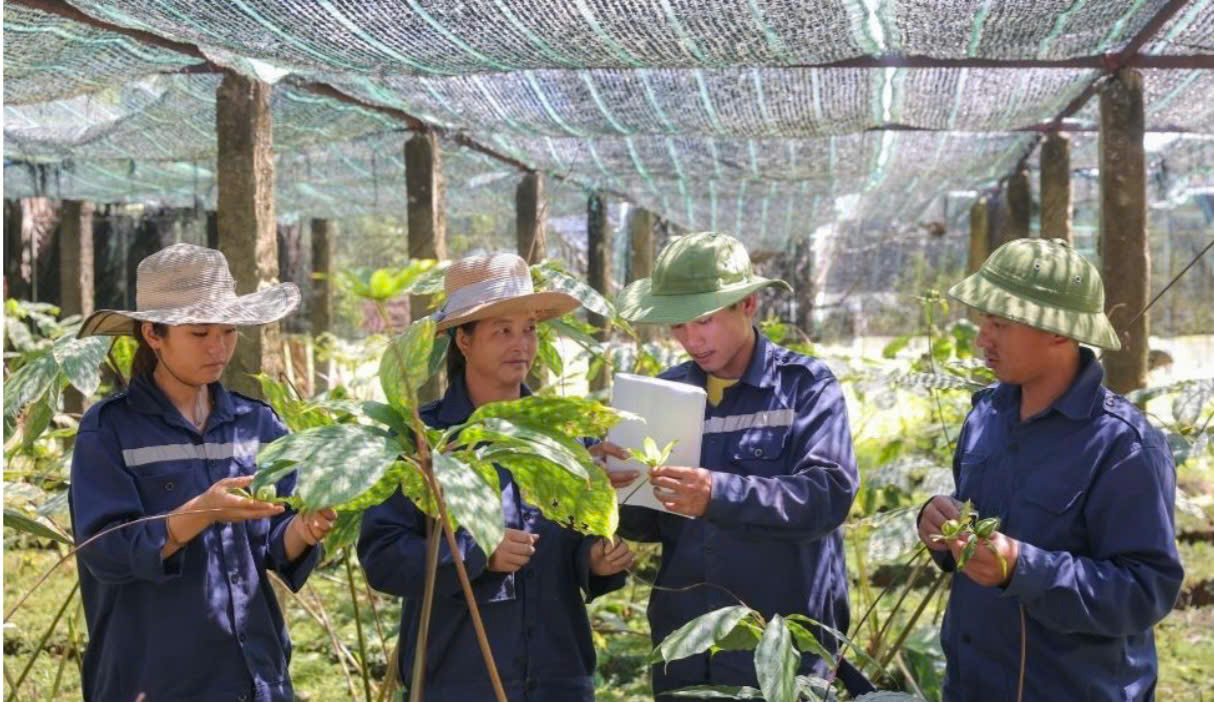 Định hình con đường dược liệu Việt: Tư duy chiến lược của Anh hùng Lao động Thái Hương- Ảnh 2.