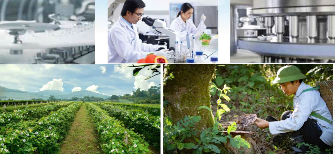Định hình con đường dược liệu Việt: Tư duy chiến lược của Anh hùng Lao động Thái Hương- Ảnh 4.