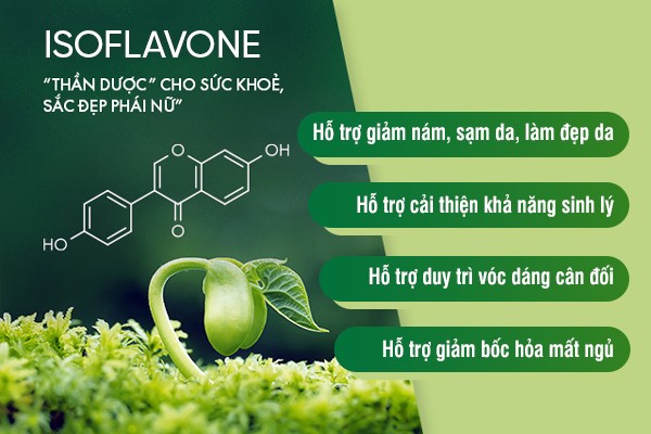 Isoflavone và hành trình trở thành lựa chọn của hàng triệu phụ nữ trong chăm sóc nội tiết tố- Ảnh 2.