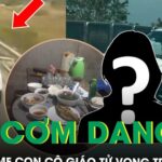 Xót xa hai mẹ con cô giáo tử vong trên cao tốc, lời hẹn về ăn cơm mãi không thành