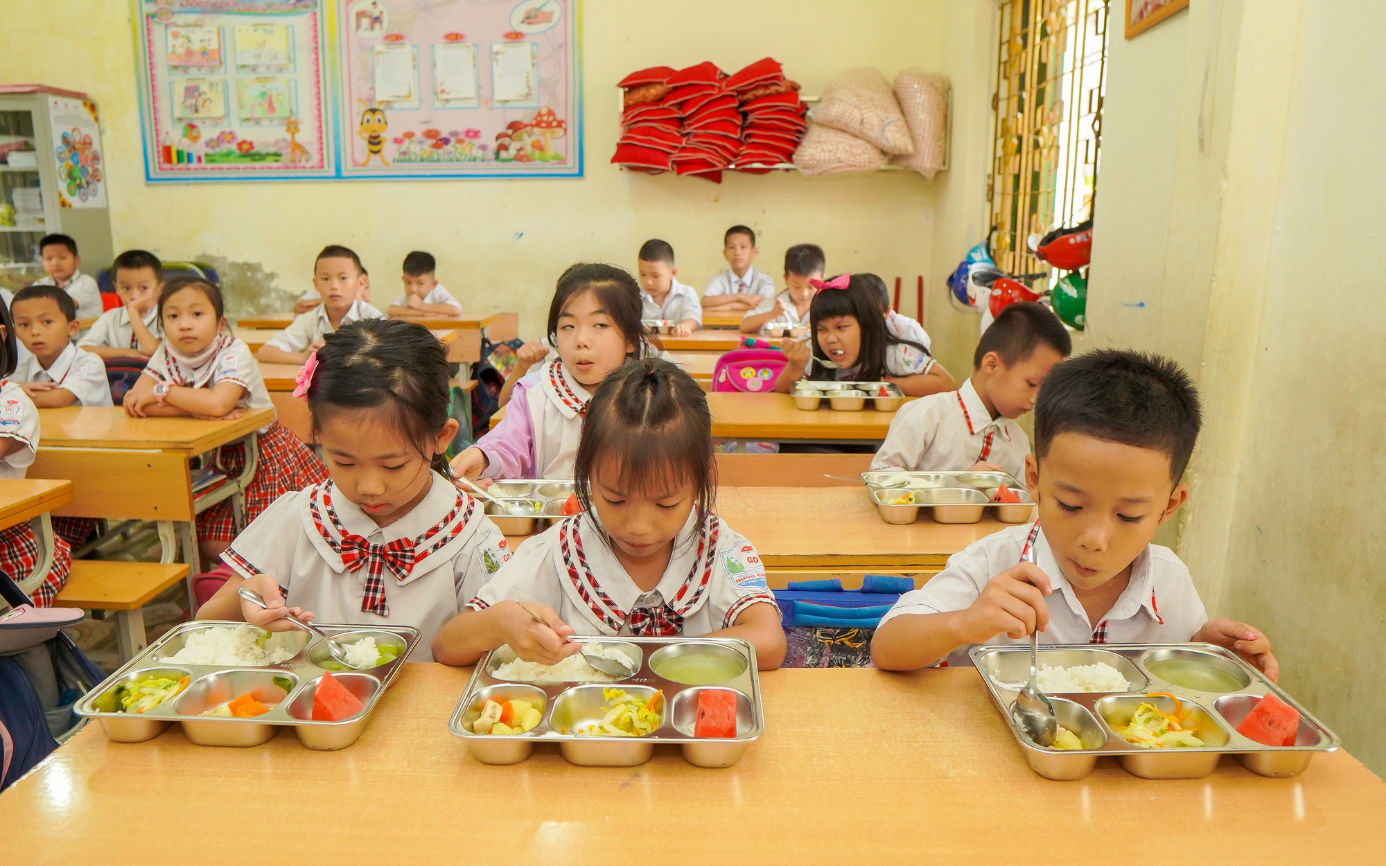 Vai trò của vi chất dinh dưỡng đối với sức khỏe trẻ em- Ảnh 2.