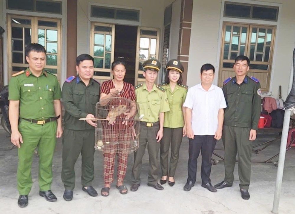 Người dân tự nguyện giao nộp 2 cá thể động vật quý hiếm- Ảnh 2. Người dân tự nguyện giao nộp 2 cá thể động vật quý hiếm- Ảnh 2.