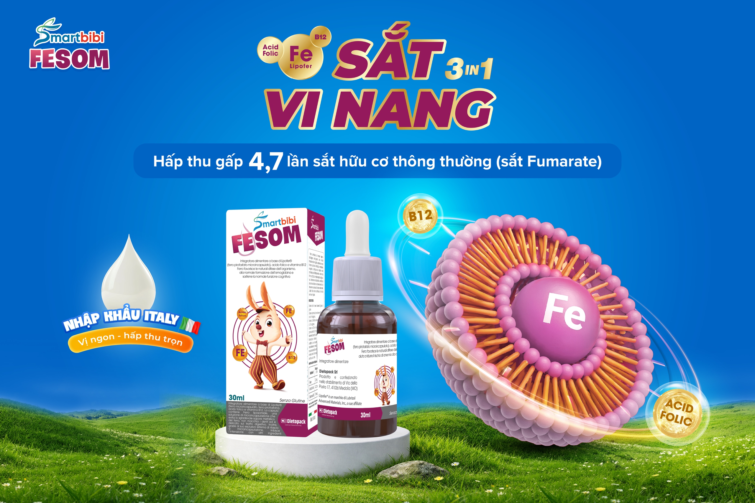 Sắt vi nang hấp thu cao thế hệ mới từ Italy- Ảnh 3. Sắt vi nang hấp thu cao thế hệ mới từ Italy- Ảnh 3.
