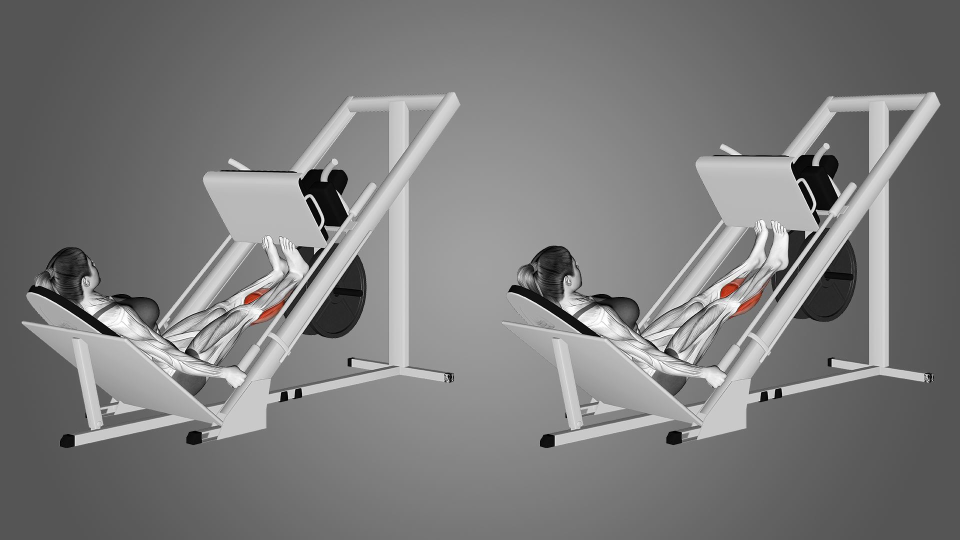 2 bài tập trong 30 ngày giúp giảm mỡ chân- Ảnh 3. 2 bài tập trong 30 ngày giúp giảm mỡ chân- Ảnh 3.