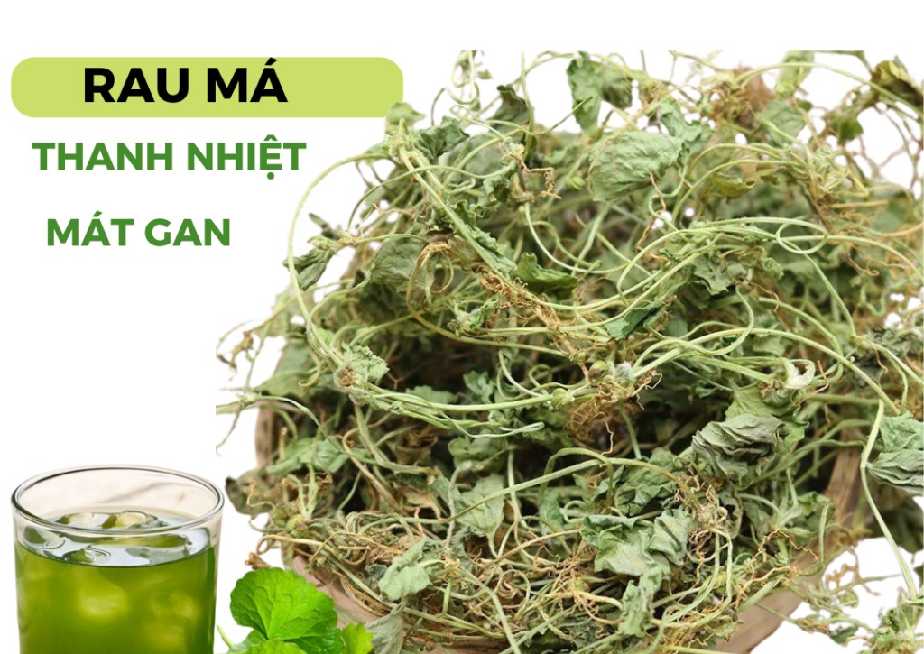 Giải nhiệt, thanh lọc cơ thể với rau má- Ảnh 1. Giải nhiệt, thanh lọc cơ thể với rau má- Ảnh 1.