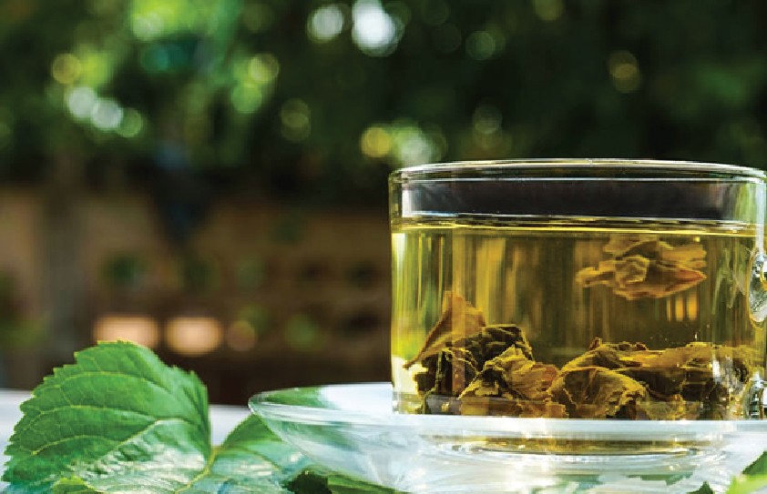 Cách dùng lá dâu tằm cải thiện giấc ngủ- Ảnh 3. Cách dùng lá dâu tằm cải thiện giấc ngủ- Ảnh 3.