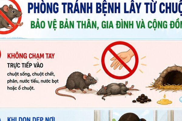 [Infographic] 5 khuyến cáo phòng bệnh virus Hanta