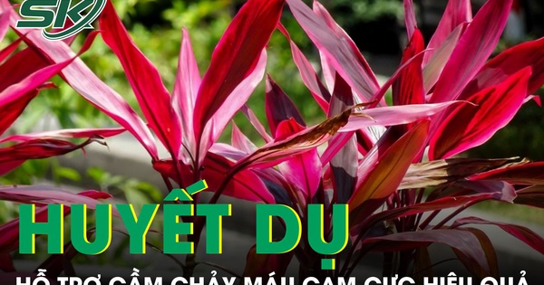 Y Học Cổ Truyền