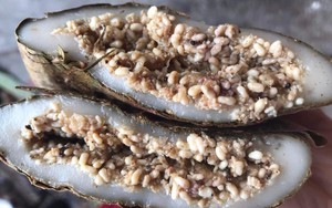 Cách phòng ngừa dị ứng hải sản khi đi biển dịp nghỉ lễ 30/4- Ảnh 2. 'Thủ phạm' gây dị ứng trong món bánh trứng kiến độc đáo?