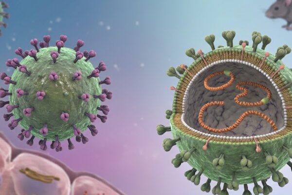 Cảnh giác nguy cơ nhiễm virus Hanta từ thực phẩm bị chuột xâm nhập