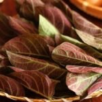 Bài thuốc lá mơ lông – trứng gà trị tiêu chảy