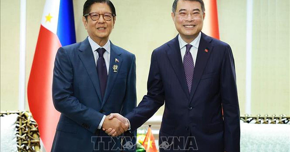 Thủ tướng Lê Minh Hưng gặp Tổng thống Philippines