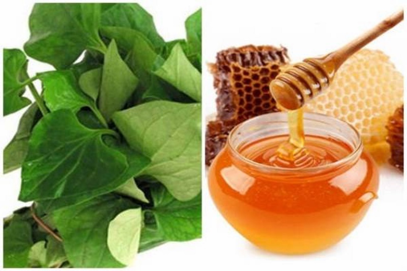 diep-ca-mat-ong-1779194937220800905277 Tác dụng hỗ trợ cải thiện táo bón của rau diếp cá- Ảnh 3.