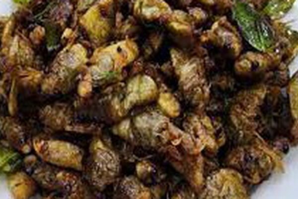 Bộ Y tế yêu cầu xác minh, xử lý vụ 9 người nhập viện sau khi ăn ve sầu ở Quảng Trị