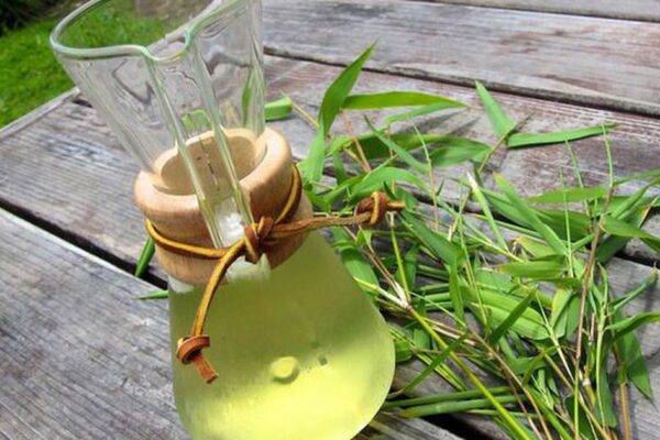 Bài thuốc chữa bệnh từ lá tre