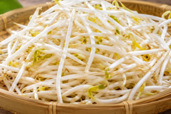 Lý do nên ăn giá đỗ vào tháng Năm