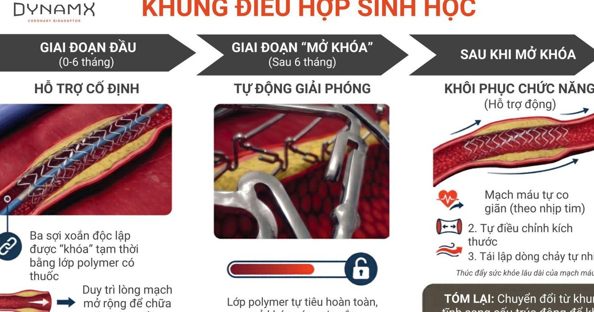 Khung điều hợp sinh học chứng minh giảm vượt trội tỷ lệ biến cố tim mạch sau 4 năm – kết quả nghiên cứu mới được công bố tại Hội nghị Tim mạch Châu Âu 2026