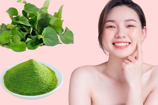 Cách dùng rau diếp cá tốt cho da mụn