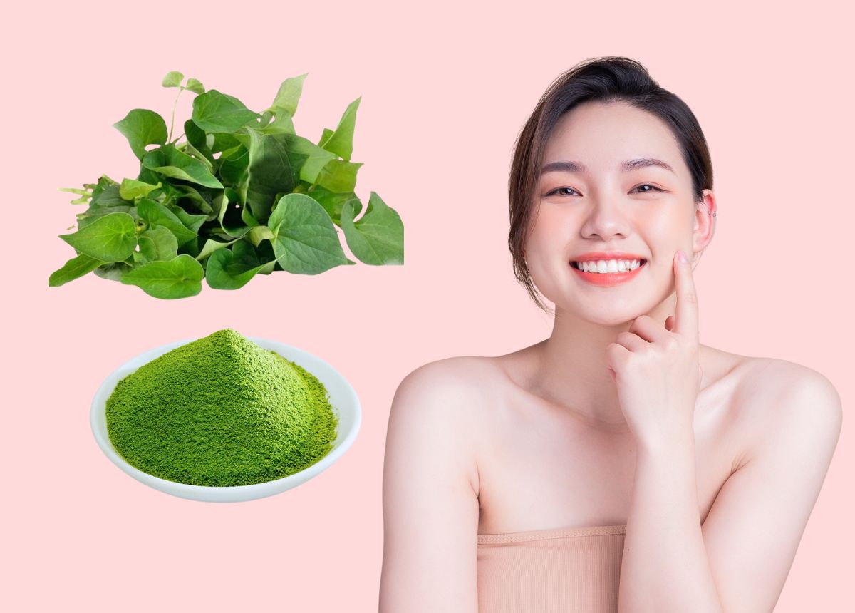 rau-diep-ca-17789064203911342618402 Cách dùng rau diếp cá tốt cho da mụn- Ảnh 1.