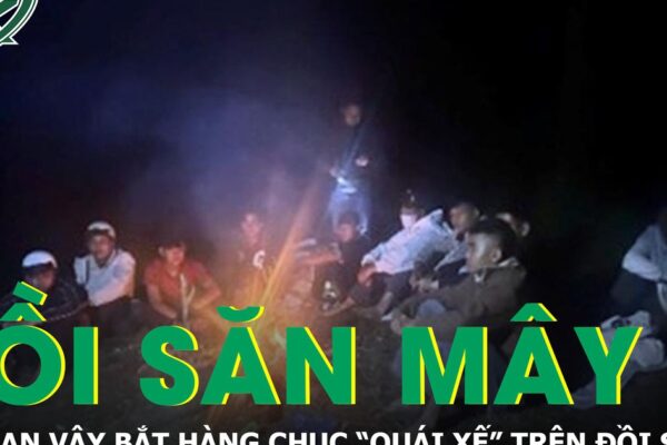 Công an thức trắng đêm truy quét hàng chục “quái xế”, náo loạn đồi săn mây