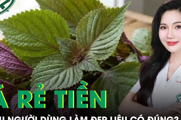 Loại lá rẻ tiền nhiều người dùng để làm đẹp, bác sĩ da liễu nói gì?