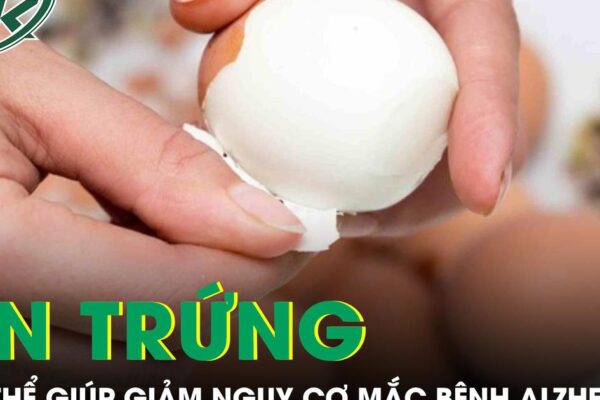 Ăn trứng thường xuyên có thể giúp giảm nguy cơ mắc bệnh Alzheimer