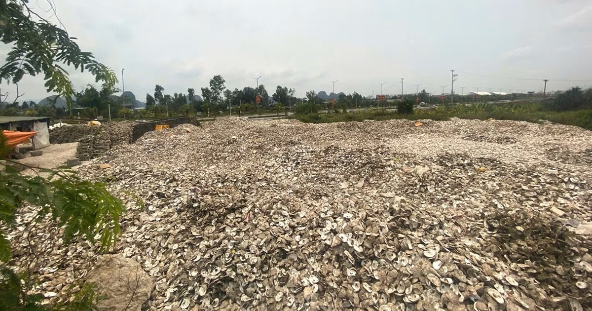 Đổ hơn 300 tấn vỏ hàu ra môi trường, chủ cơ sở bị khởi tố