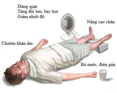 1000050766-17797037080171686663343 'Nắng như đổ lửa', bác sĩ Bạch Mai chỉ cách nhận biết sớm say nắng để tránh nguy hiểm tính mạng- Ảnh 2.
