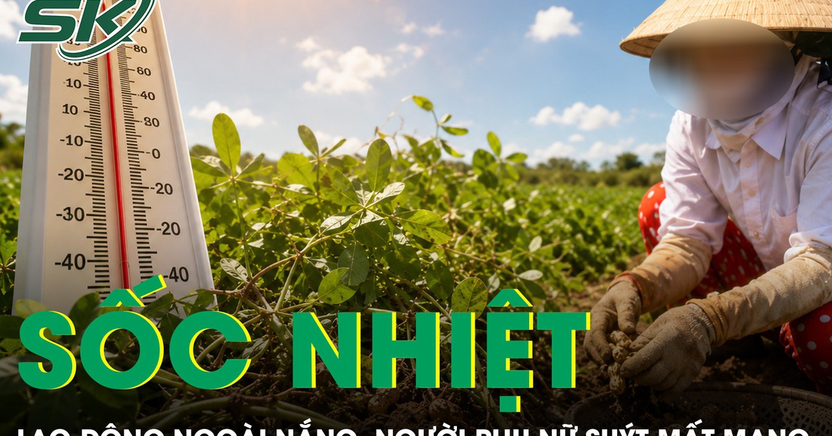 Nhổ lạc giữa trời nắng, người phụ nữ suýt mất mạng vì sốc nhiệt