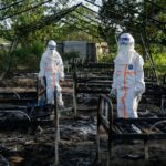 Hiểm họa mới bất ngờ ập xuống các trung tâm điều trị Ebola tại CHDC Congo