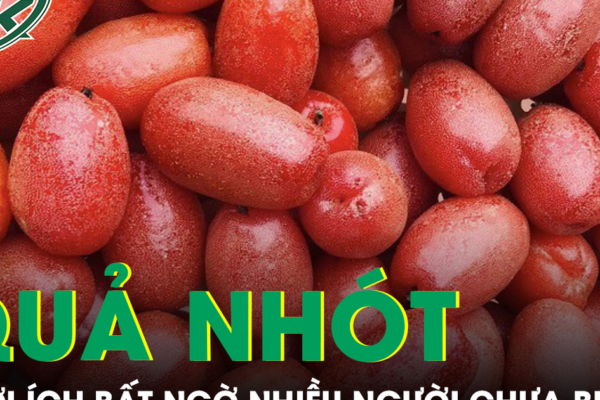 5 lợi ích bất ngờ của quả nhót với sức khỏe, nhiều người chưa biết