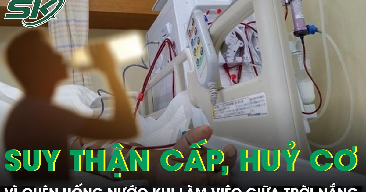 Chàng trai 25 tuổi suy thận cấp, hủy cơ vì quên uống nước khi làm việc giữa trời nắng
