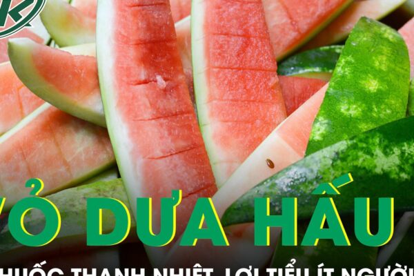 Vỏ dưa hấu tưởng bỏ đi lại là vị thuốc thanh nhiệt, lợi tiểu ít người biết