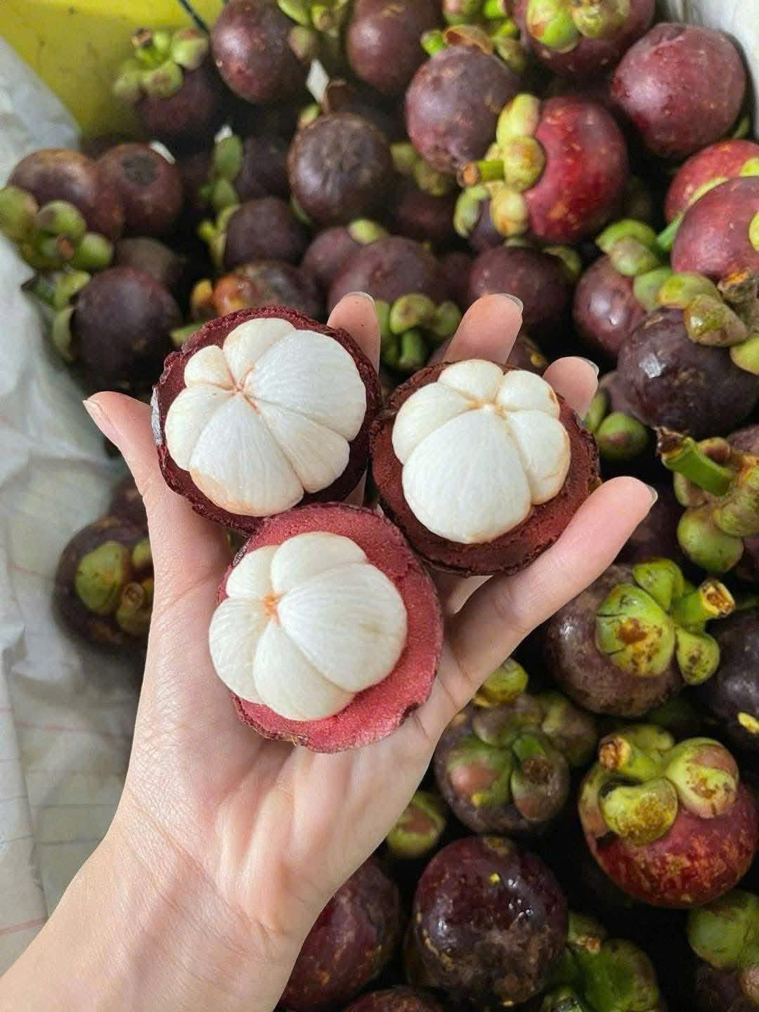 a6826b19ddde5c8005cf-17809945251491010508959 Điều gì xảy ra với cơ thể khi thường xuyên ăn măng cụt?- Ảnh 1.