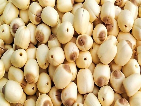 hat-sen-17812500025751147772086 5 món ăn bài thuốc từ hạt sen giúp an thần, dưỡng tâm, bồi bổ cơ thể - Ảnh 1.
