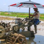Chủ động phòng tránh say nắng, sốc nhiệt mùa nắng nóng