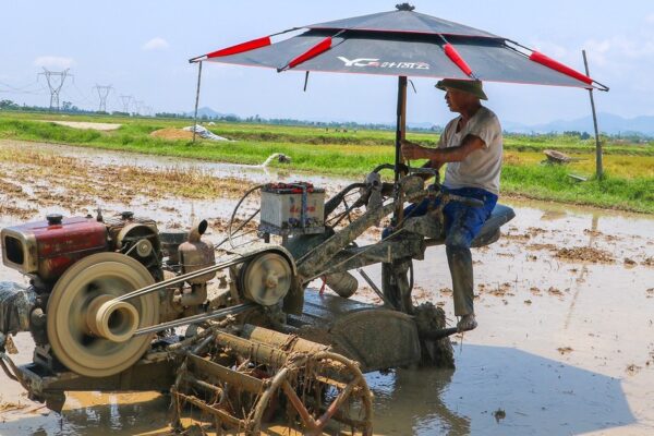 Chủ động phòng tránh say nắng, sốc nhiệt mùa nắng nóng