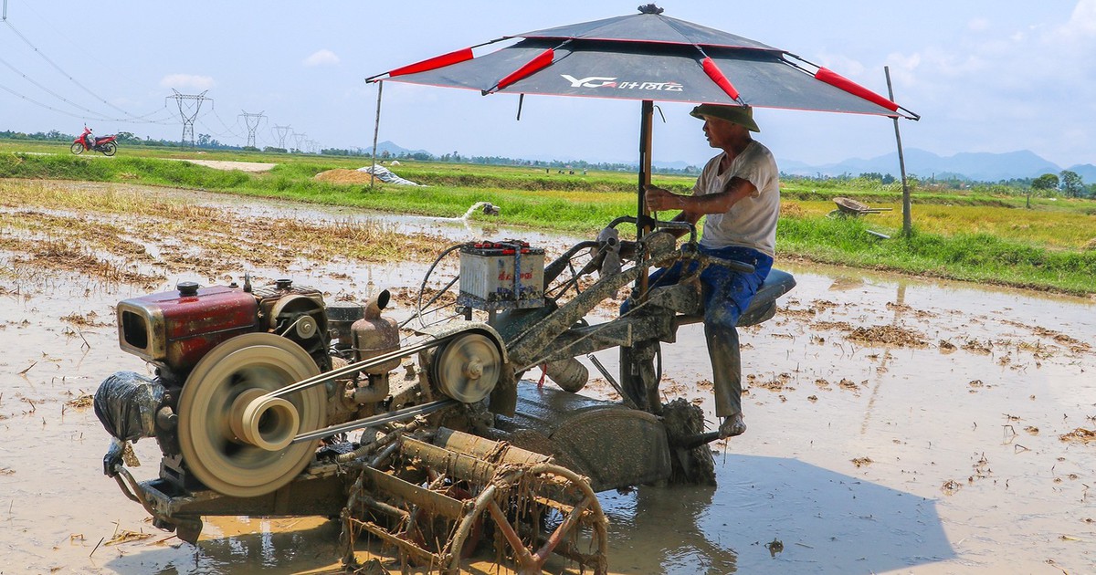 Chủ động phòng tránh say nắng, sốc nhiệt mùa nắng nóng
