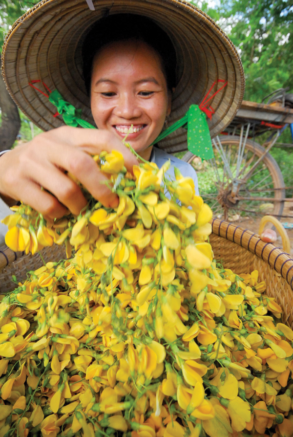nhung-mon-ngon-thuoc-quy-tu-bong-dien-dien1497771388-1 Tác dụng của hoa và cây điên điển - Ảnh 2.