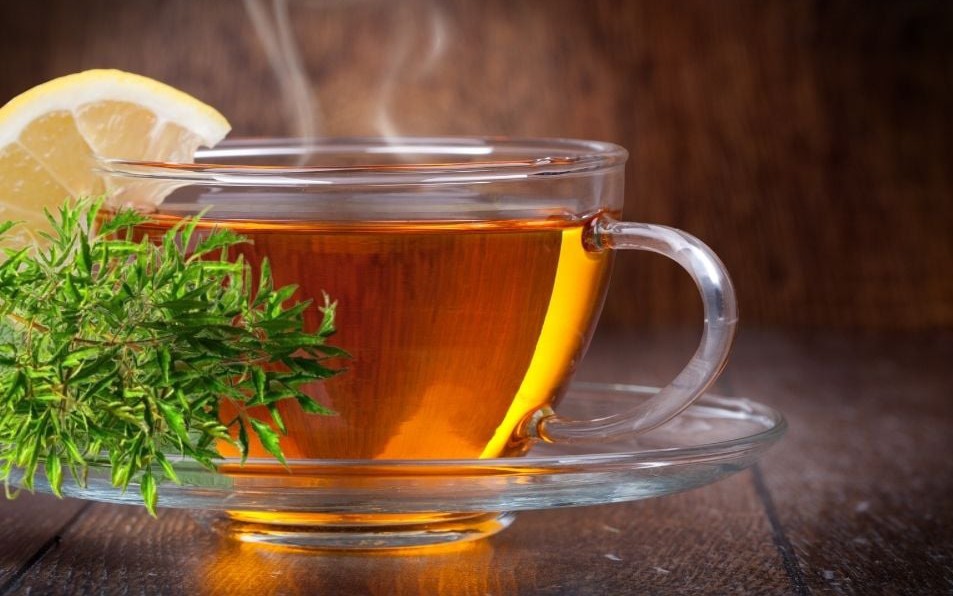 Uống lá đinh lăng hàng ngày có tốt không?