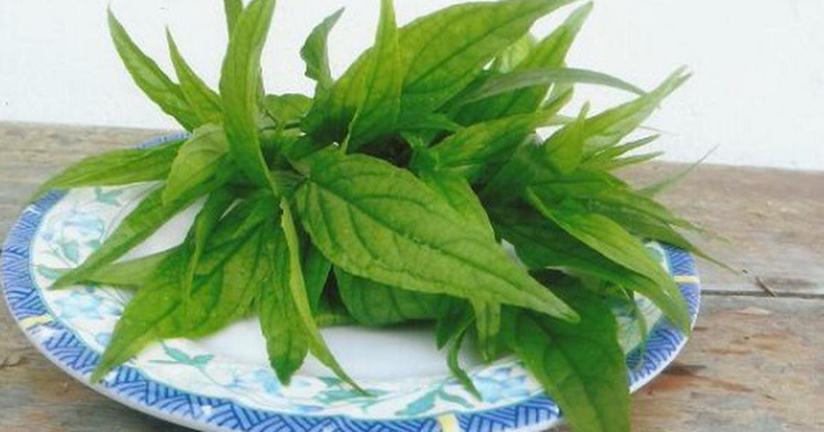 Dùng cây xương khỉ thế nào để không mất chất?