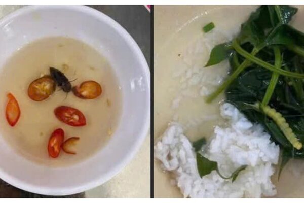 Sở Y tế TP Huế thông tin kết quả xác minh phản ánh ‘canh rau có sâu’