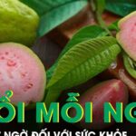 Tác dụng không ngờ của việc ăn 1-2 quả ổi mỗi ngày