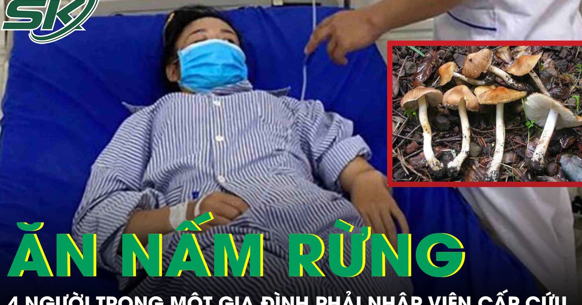 Ăn nấm rừng, 4 người trong một gia đình phải nhập viện cấp cứu